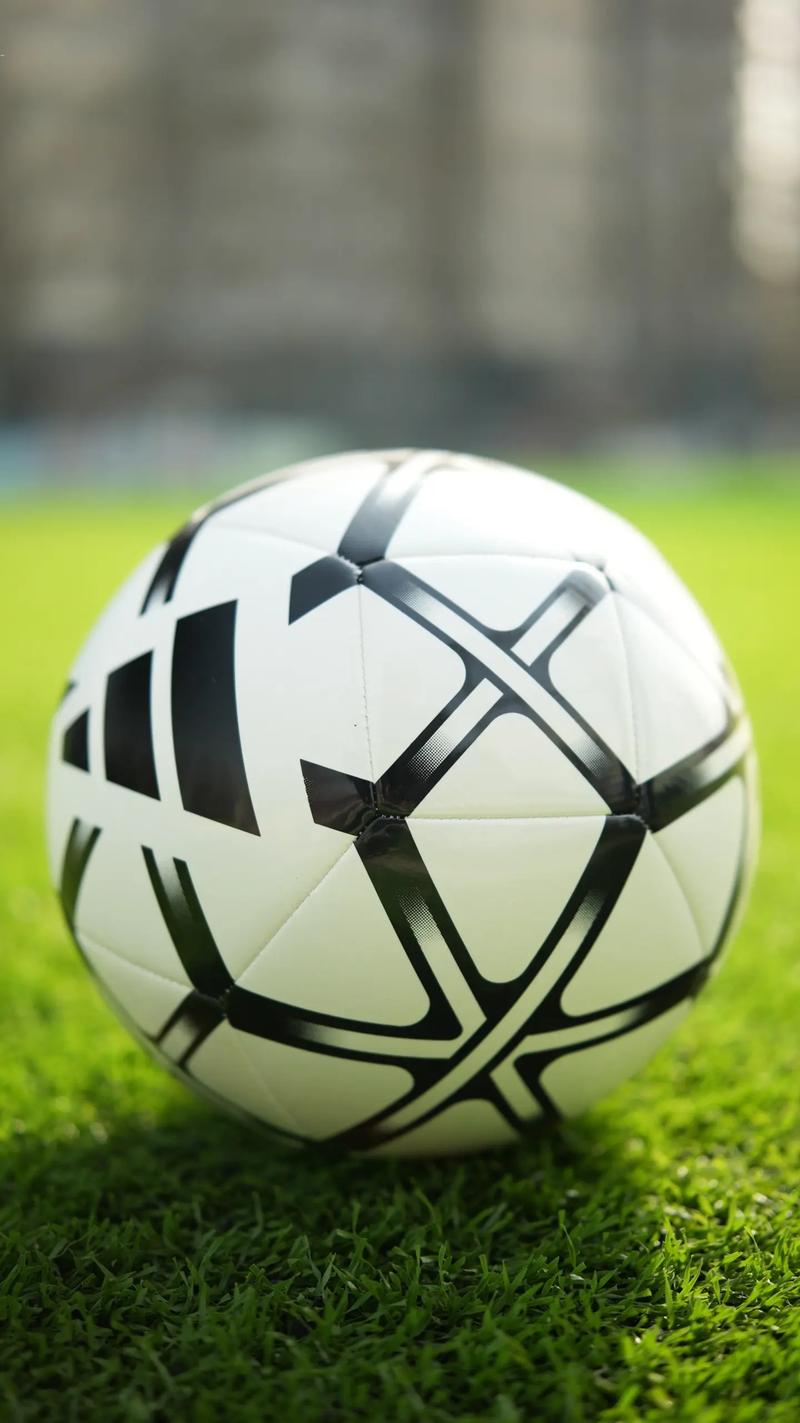 足彩工具数据分析能力展示