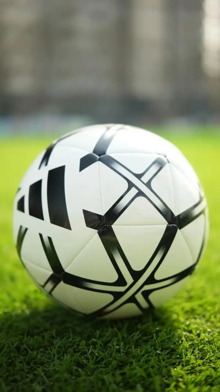 足彩胜平负计算工具界面展示